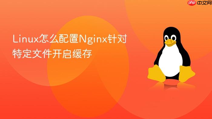 linux怎么配置nginx针对特定文件开启缓存