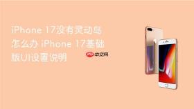 iPhone 17没有灵动岛怎么办 iPhone 17基础版UI设置说明