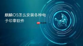 麒麟OS怎么安装各种电子印章软件