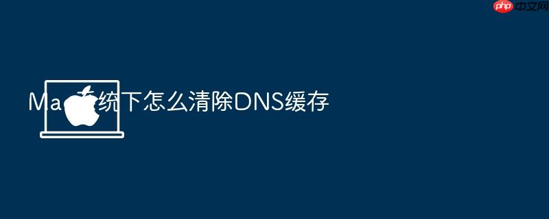 mac系统下怎么清除dns缓存