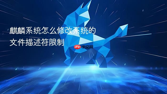 麒麟系统怎么修改系统的文件描述符限制