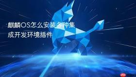 麒麟OS怎么安装各种集成开发环境插件