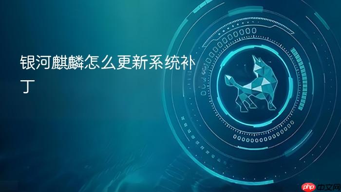银河麒麟怎么更新系统补丁