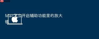 Mac怎么开启辅助功能里的放大镜