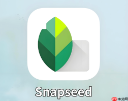Snapseed怎么把路人甲无痕消除