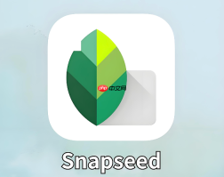 snapseed怎么把路人甲无痕消除