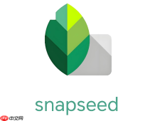 snapseed怎么撤销上一步的修图操作
