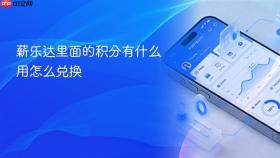 薪乐达里面的积分有什么用怎么兑换