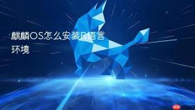 麒麟os怎么安装r语言环境