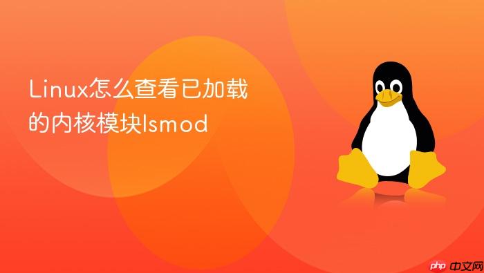 linux怎么查看已加载的内核模块lsmod
