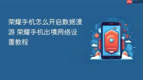 荣耀手机怎么开启数据漫游 荣耀手机出境网络设置教程