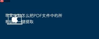 苹果电脑怎么把pdf文件中的所有链接一键提取