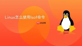 Linux怎么使用lsof命令