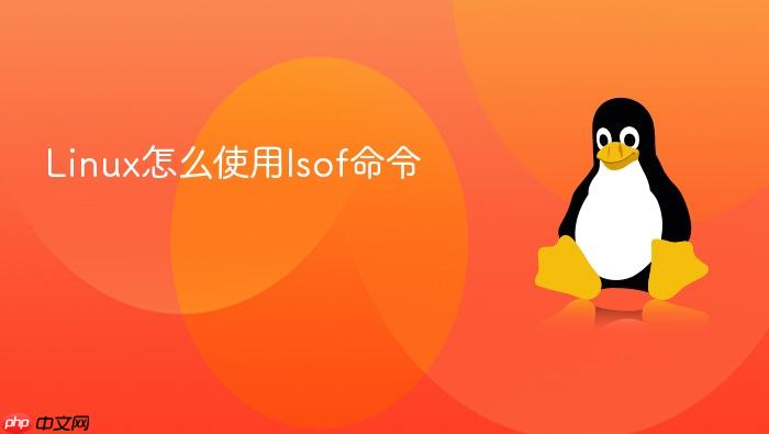 linux怎么使用lsof命令