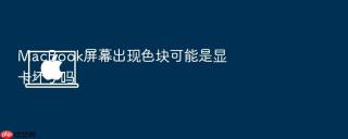 macbook屏幕出现色块可能是显卡坏了吗
