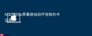 macbook屏幕排线损坏导致的半边黑屏