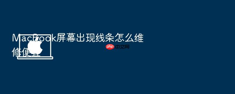 macbook屏幕出现线条怎么维修便宜