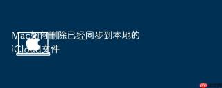 mac如何删除已经同步到本地的icloud文件