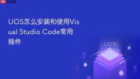uos怎么安装和使用visual studio code常用插件