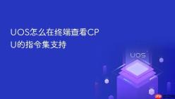UOS怎么在终端查看CPU的指令集支持