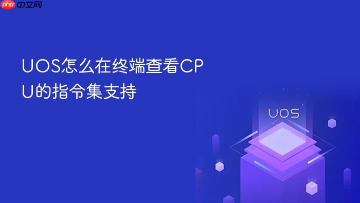 uos怎么在终端查看cpu的指令集支持