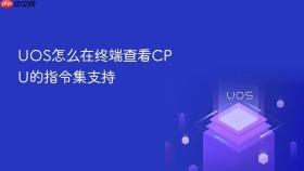 uos怎么在终端查看cpu的指令集支持