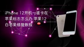 iphone 12开机一直卡在苹果标志怎么办 苹果12白苹果修复教程