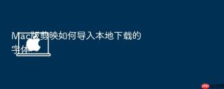 Mac版剪映如何导入本地下载的字体