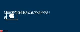 mac怎么强制格式化写保护的u盘