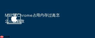 mac版chrome占用内存过高怎么一键释放