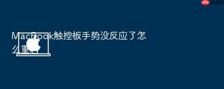 macbook触控板手势没反应了怎么重启