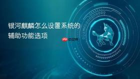银河麒麟怎么设置系统的辅助功能选项