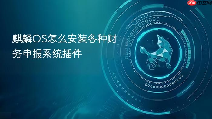 麒麟os怎么安装各种财务申报系统插件