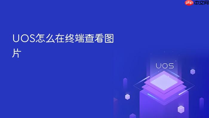 uos怎么在终端查看图片