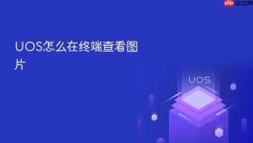 uos怎么在终端查看图片