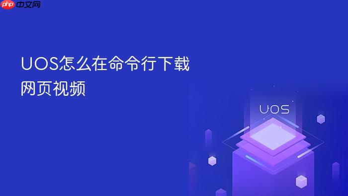 uos怎么在命令行下载网页视频