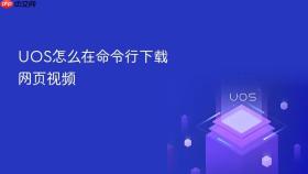 uos怎么在命令行下载网页视频