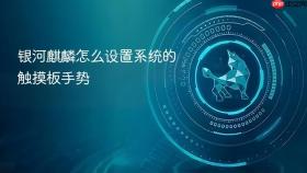 银河麒麟怎么设置系统的触摸板手势