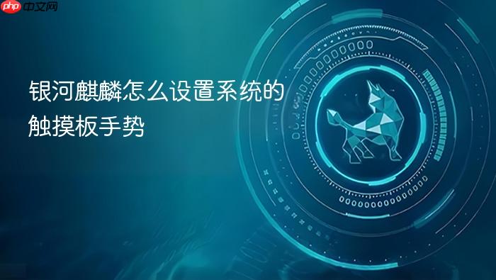 银河麒麟怎么设置系统的触摸板手势