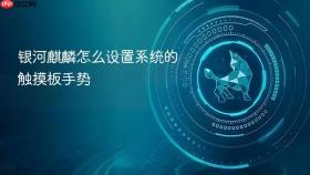 银河麒麟怎么设置系统的触摸板手势