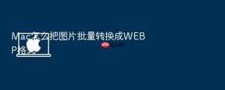 mac怎么把图片批量转换成webp格式
