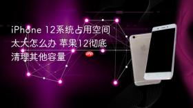 iphone 12系统占用空间太大怎么办 苹果12彻底清理其他容量