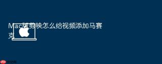 mac版剪映怎么给视频添加马赛克