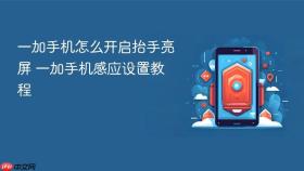 一加手机怎么开启抬手亮屏 一加手机感应设置教程