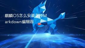 麒麟os怎么安装各种markdown编辑器
