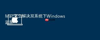 Mac怎么解决双系统下Windows蓝屏