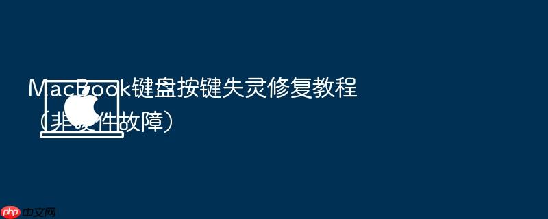 macbook键盘按键失灵修复教程(非硬件故障)
