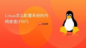 linux怎么配置系统的内网穿透(frp)
