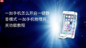 一加手机怎么开启一键静音模式 一加手机物理开关功能教程