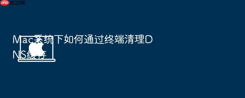mac系统下如何通过终端清理dns缓存